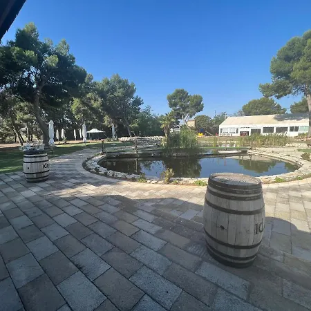 埃尔瑟斯尼酒店 酒店