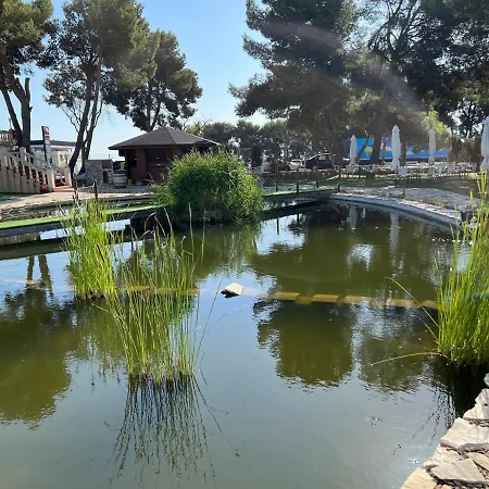 Otel El Cisne 3*