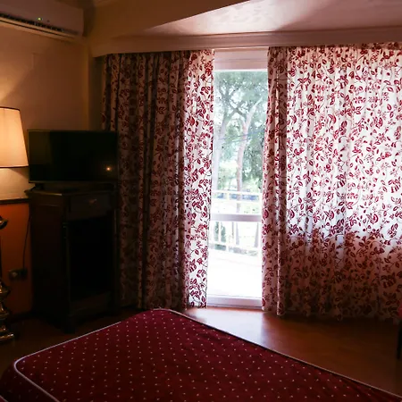 埃尔瑟斯尼酒店 酒店