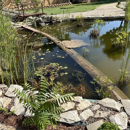 Szálloda El Cisne Zaragoza