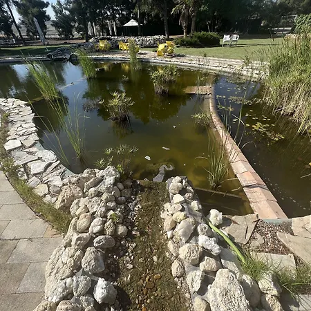 酒店 埃尔瑟斯尼酒店