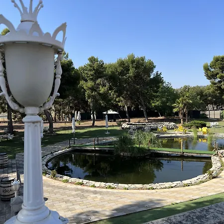 Hotel El Cisne Saragossa
