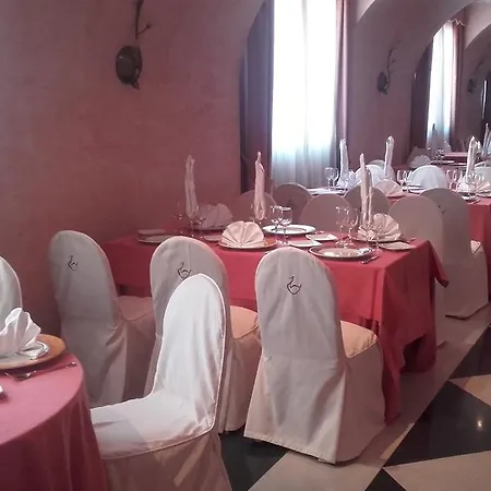 酒店 埃尔瑟斯尼酒店 3*