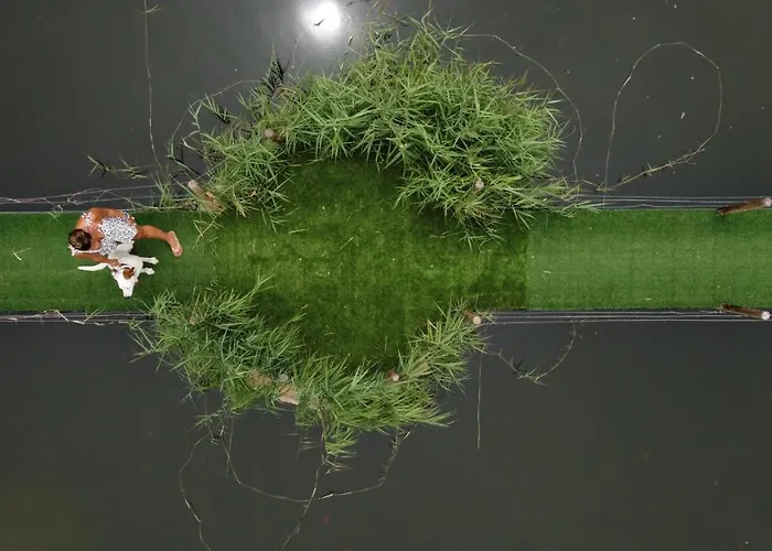 Szálloda El Cisne 3*