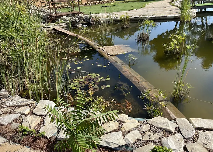 Szálloda El Cisne Zaragoza